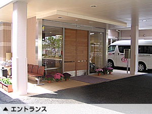 �{�݈ē� �ʐ^