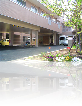 ���V�l�ی��{�݂����� �����ē�