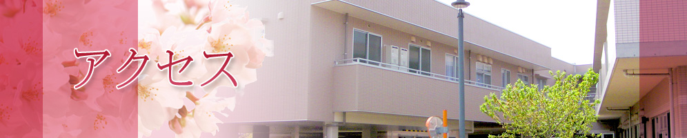 ���V�l�ی��{�݂�����E������x�����Ə������� �A�N�Z�X