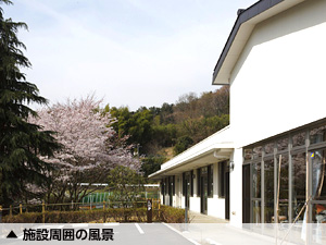 �{�݈ē� �ʐ^