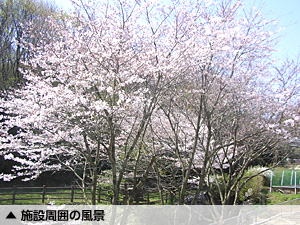 �{�݈ē� �ʐ^