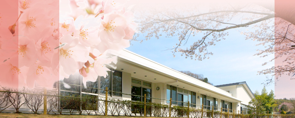 ���V�l�ی��{�݂�����T�e���C�g